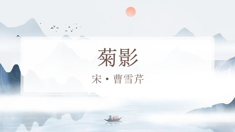 菊影